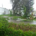 Redlands Mobile Park