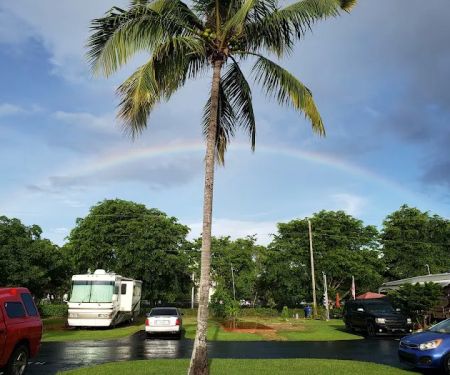 Palm Garden RV Park, Homestead, Florida