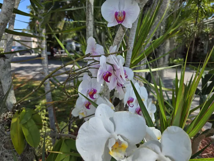 Boardwalk, MHP Picture 6