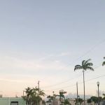 Homestead Trailer Park