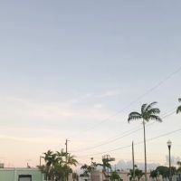 Homestead Trailer Park ico