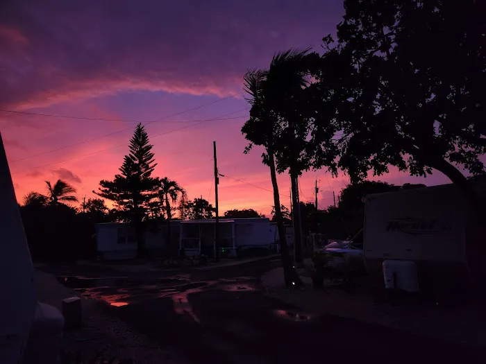 Driftwood Trailer Park Picture 4