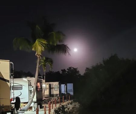 Driftwood Trailer Park