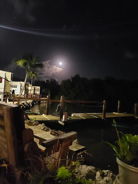 Driftwood Trailer Park Picture 7