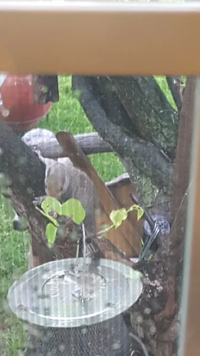 Hinden Homes Picture 2