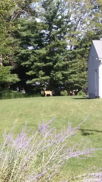 Ramblewood Estates Picture 4