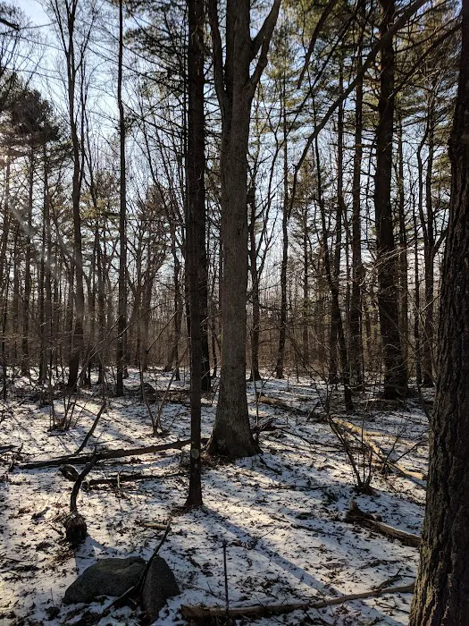 Ramblewood Estates Picture 3