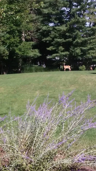 Ramblewood Estates Picture 8