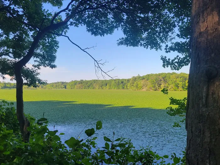 Maple Meadows Picture 2