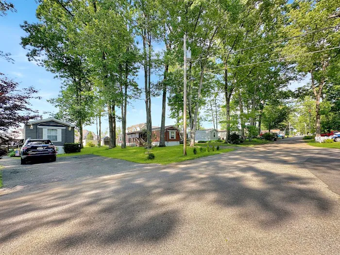 Saratoga Acres Picture 7