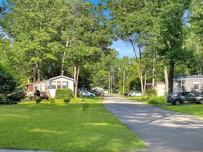 Saratoga Acres Picture 6