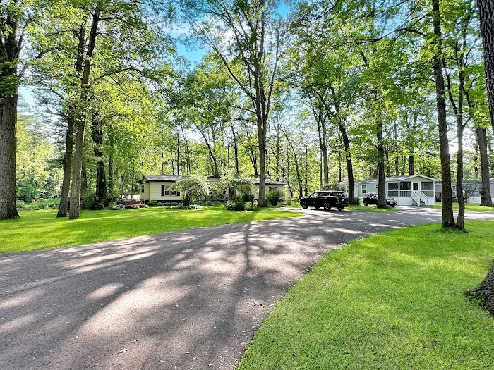 Saratoga Acres Picture 5