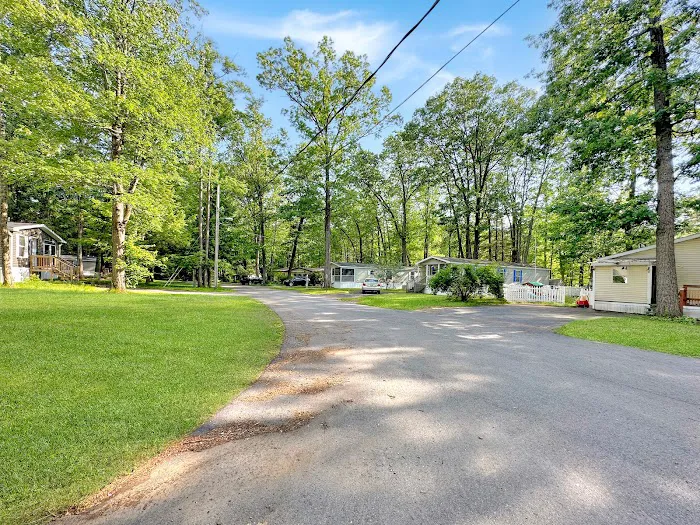 Saratoga Acres Picture 4