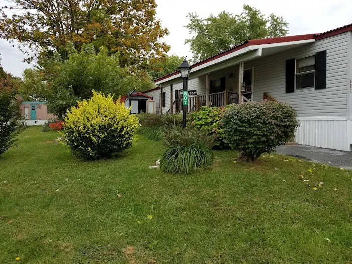Starview Sales Inc Picture 3