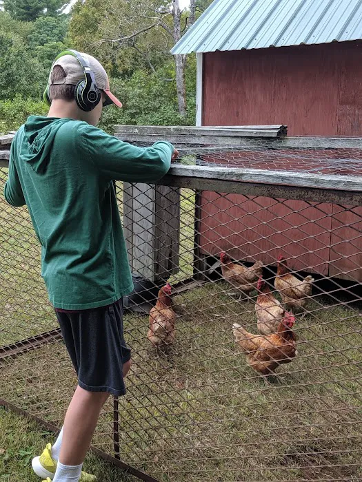 Peacocks Properties RV Park and Rentals Picture 5