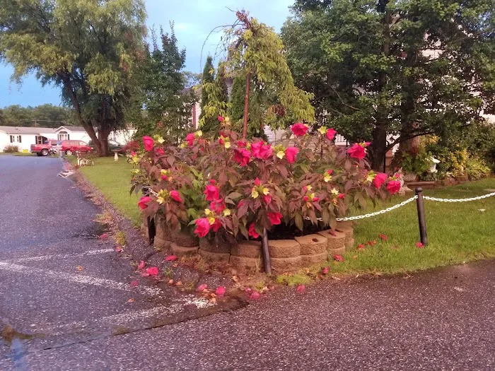 Williams Estates and Peppermint Woods Picture 2