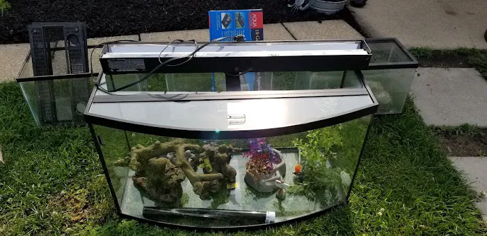 Williams Estates and Peppermint Woods Picture 10