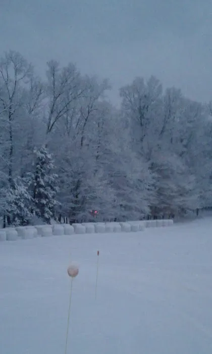 Copper Kettle Mobile Home Picture 7