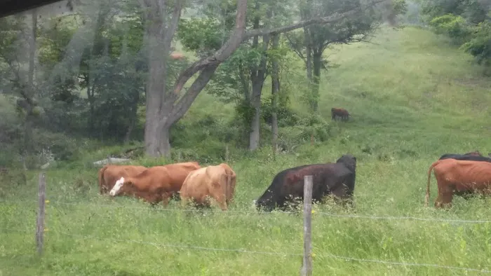 Copper Kettle Mobile Home Picture 2