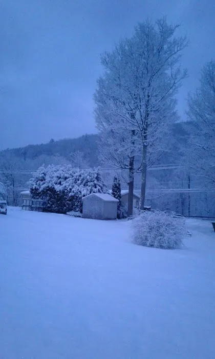 Copper Kettle Mobile Home Picture 3