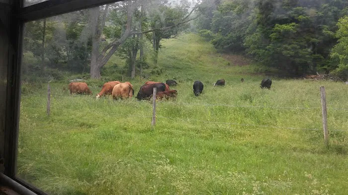 Copper Kettle Mobile Home Picture 9