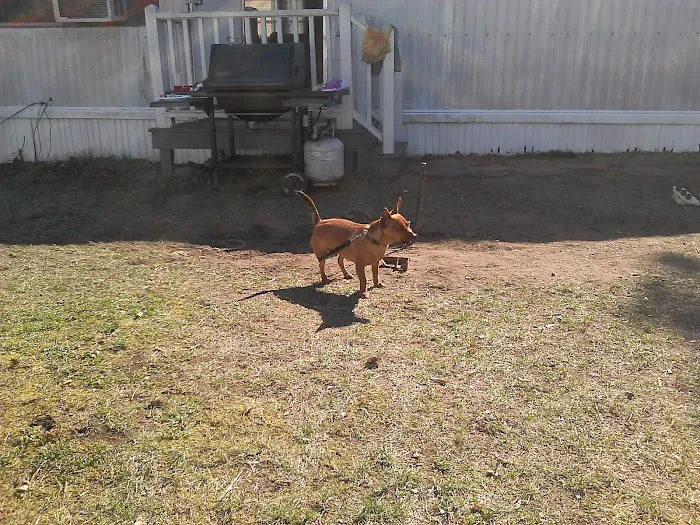 Whispering Pines Mobile Home Village & Sales Picture 9