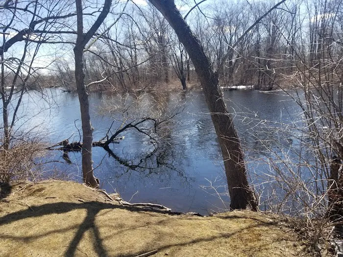 Boston Trailer Park Picture 3