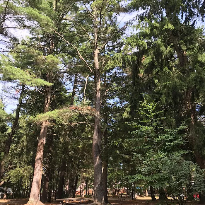 Saratoga RV Park Picture 3