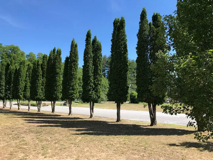 Saratoga RV Park Picture 5