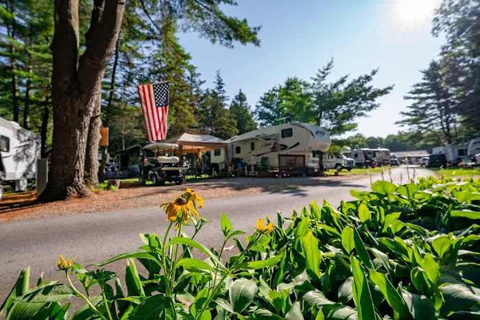 Sun Retreats Adirondack Gateway Picture 4
