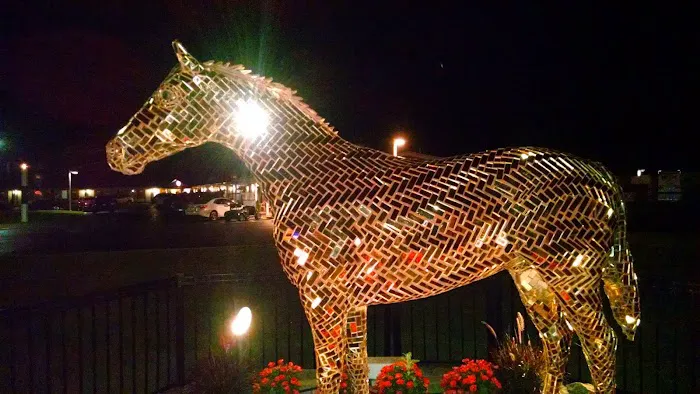 Lamplighter Acres Picture 4