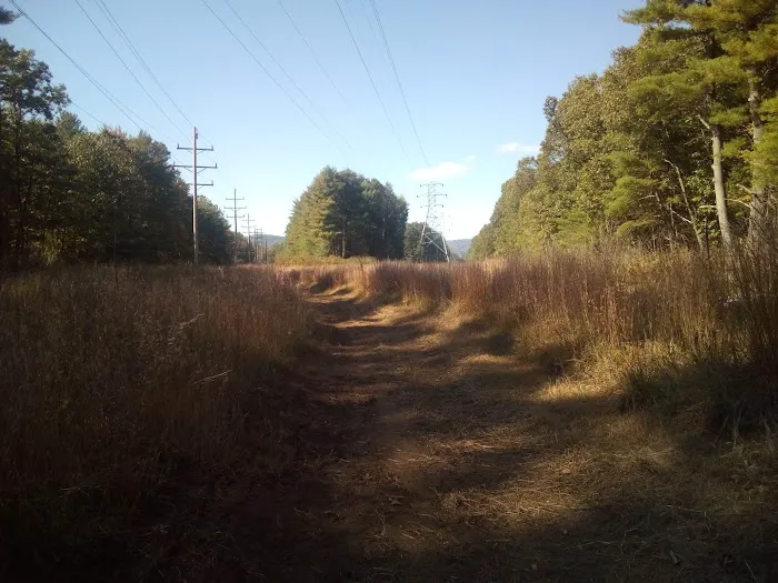 Lamplighter Acres Picture 9