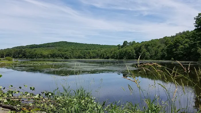 Oakwood Lake Village Picture 4