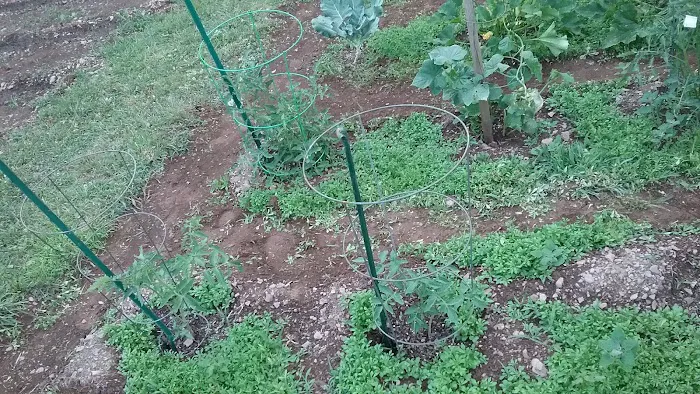 Tall Timbers Village Picture 8