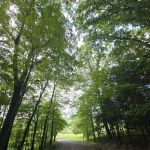 Benton Hills Mobile Home Park