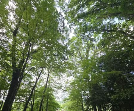 Benton Hills Mobile Home Park