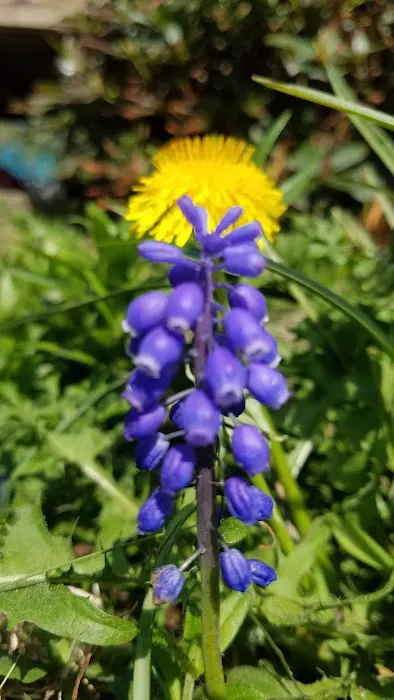 Melanie Manor Home Estates LLC Picture 6