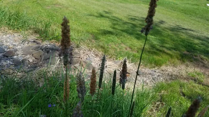 Melanie Manor Home Estates LLC Picture 8