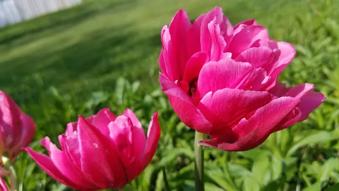 Melanie Manor Home Estates LLC Picture 5