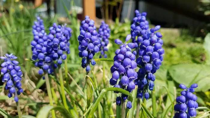 Melanie Manor Home Estates LLC Picture 2