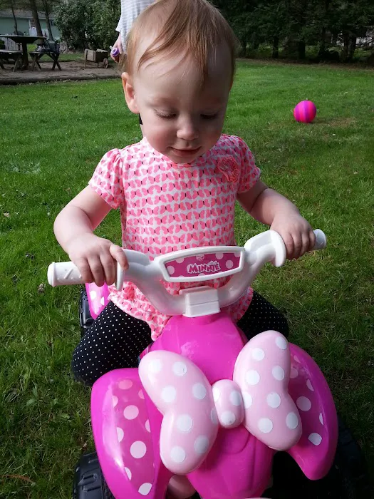 Shady Creek Campground Picture 6