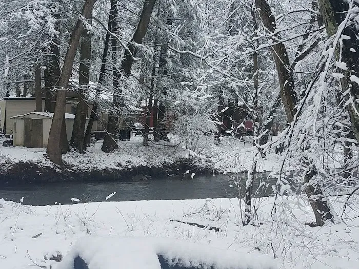 Shady Creek Campground Picture 5