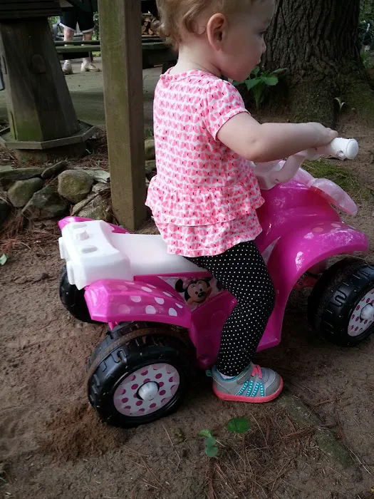 Shady Creek Campground Picture 7