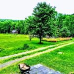 White's Mobile Home Park & Campground, LLC