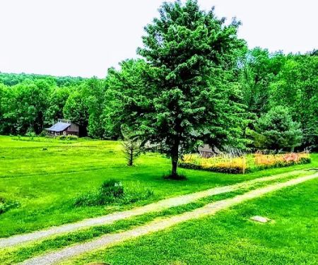 White's Mobile Home Park & Campground, LLC