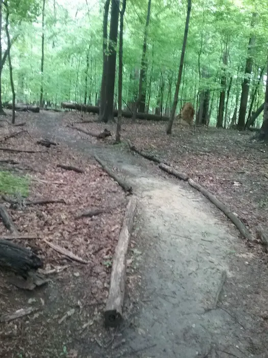 Meadowbrook Mobile Home Park Picture 10
