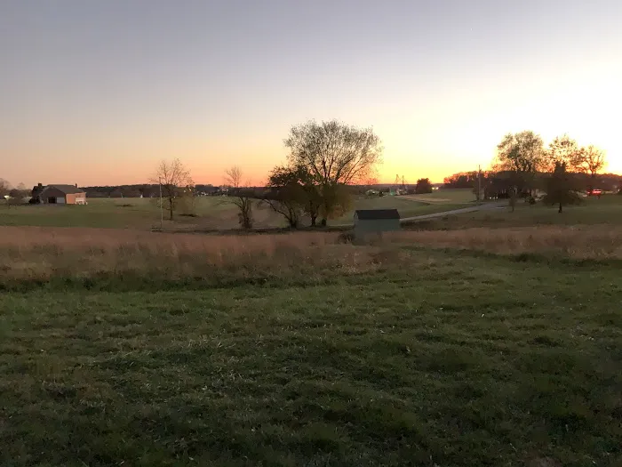 Woodbine Village Picture 2