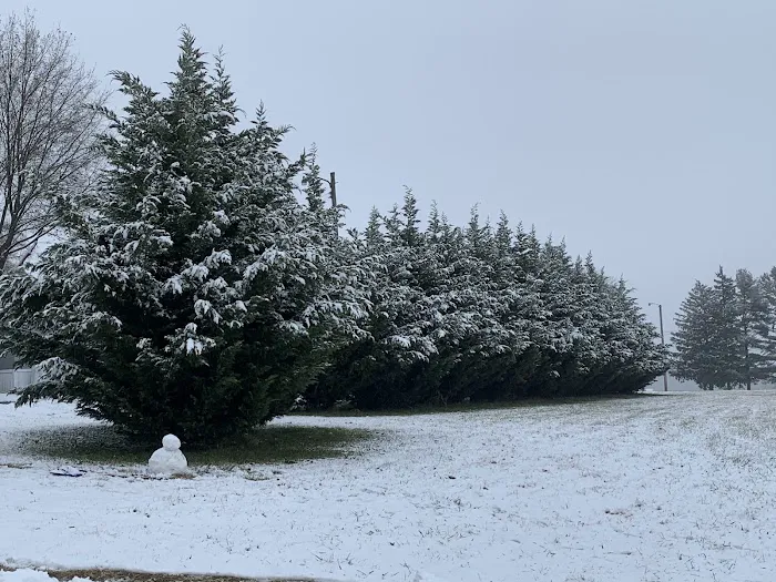 Woodbine Village Picture 6