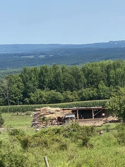 Adirondack Ridge Mobile Home Community Picture 2