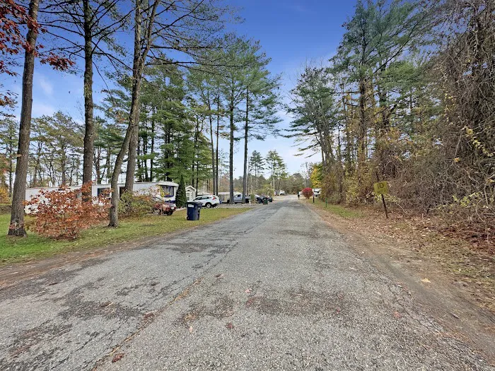 Bluebird Terrace Picture 6